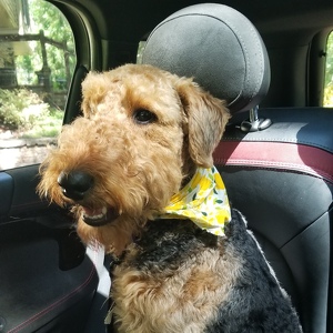 Fundraising Page: Judy Langan